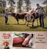 Longhornbeef.nl